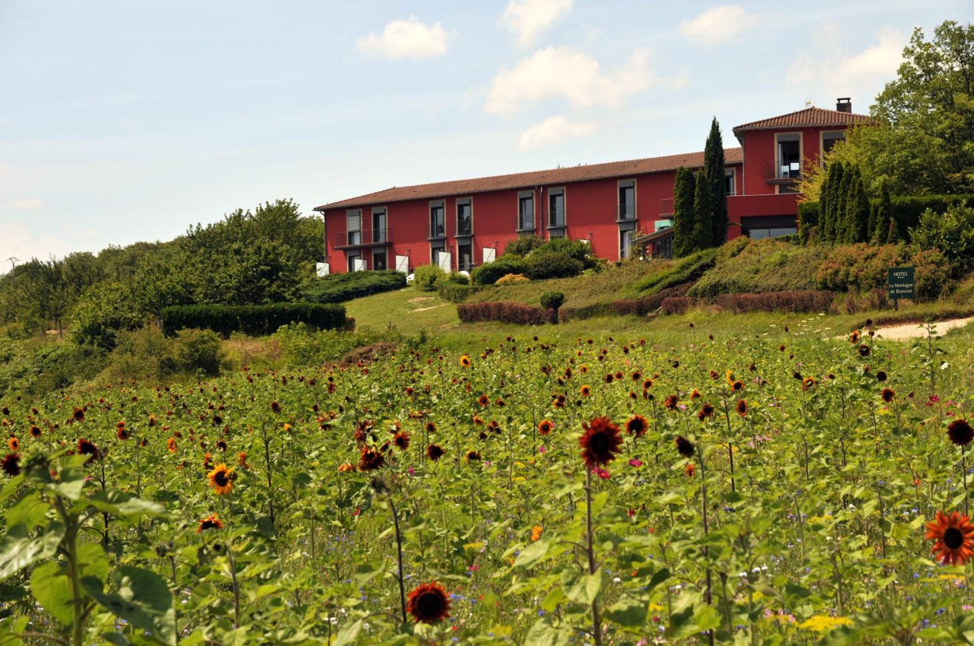 Hotel Restaurant La Montagne De Brancion Martailly-lès-Brancion 외부 사진